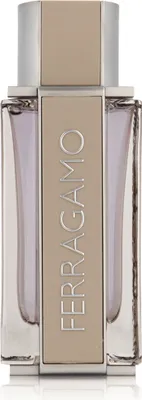 Produktbild von Salvatore Ferragamo Ferragamo Bright Leather, Männer, 100 ml, Nicht nachfüllbare Flasche, Bergamotte, Mandarine, Grapefruit, Basilikum, Leder, Rosmarin, Moschus, Zedernholz, Patschuli