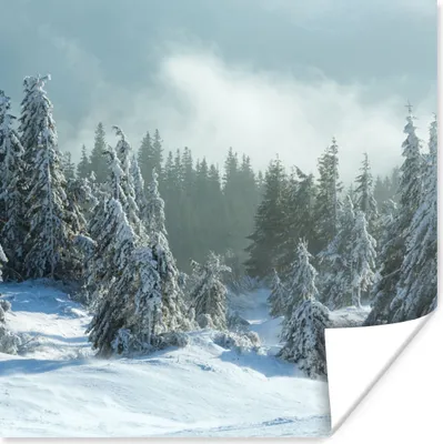 Produktbild von MuchoWow® Poster Wald - Schnee - Winter 75x75 cm - Wand Dekoration