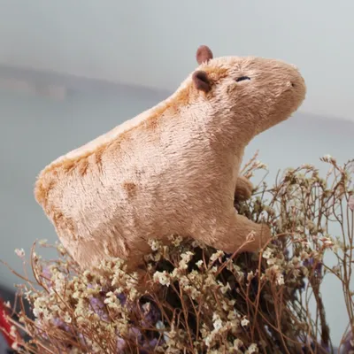 Capybara Plüschpuppen, Wildtiere Plüschtiere, Simulationstiere Capybara Plüschtiere