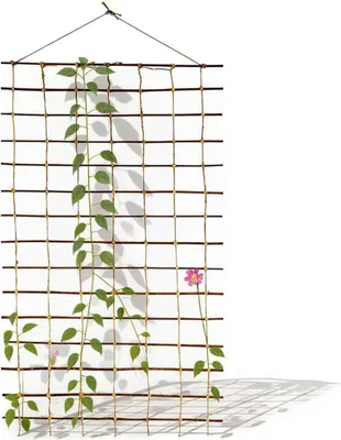 Image de be4nature Treillis 150 x 100 cm – Filet en osier pour plantes grimpantes, roses, légumes, décoration de clôture, matériau naturel