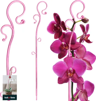 Zdjęcie produktu dla KOTARBAU® Podpórka do roslin rózowa 39 cm PVC podpórka do kwiatów pomoc przy wspinaczce rosliny domowe podpórka do kwiatów ogród orchidea podpórka do roslin rosliny ozdobne uchwyt do roslin rosliny domowe patyki do wspinaczki