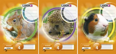 Produktbild von LANDRÉ Schulheft DIN A5 Lineatur 6 / blanko 16 Blatt