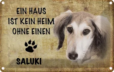 Produktbild von vianmo Blechschild 12x18 cm Saluki Hund ohne kein Heim Tier Haustier
