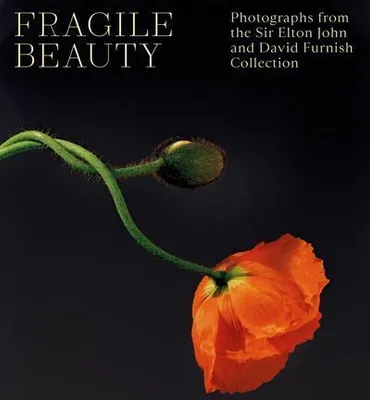 Produktbild von Fragile Beauty