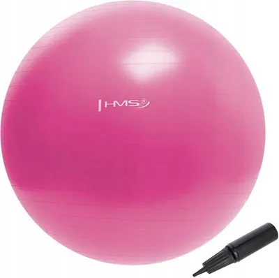 Obrázok produktu pre HMS 55 cm YB01 Rehabilitačná lopta na cvičenie