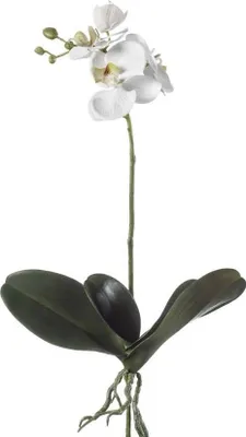 Produktbild von artplants.de Kunstblume Phalaenopsis Orchidee FAO auf Steckstab, weiß, 45cm - Kunstorchidee