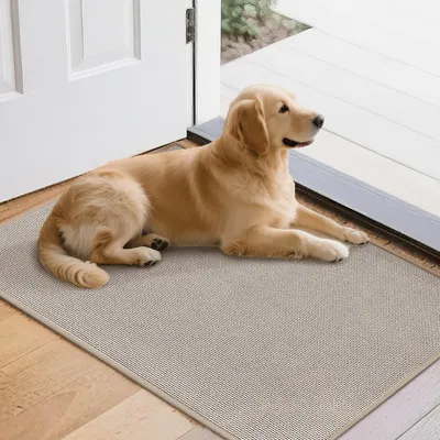 Productafbeelding van Wasbare binnenmat, 60 x 90 cm, antislip voetmat