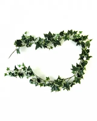 Produktbild von Grün-Weiße Efeu Girlande 180cm