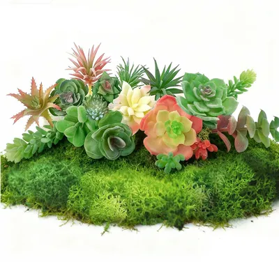 Produktbild von Künstliche Sukkulenten, Mini-Pavillons, künstliche grüne Sukkulenten, Sukkulenten-Dekorationen, Gartenzubehör, DIY-Gartendekoration, Büro-, Wohnzimmer- und Gartendekoration