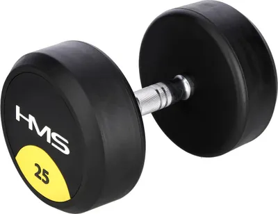 Produktbild von 25 kg Gummihantel - Heimfitnessgerät