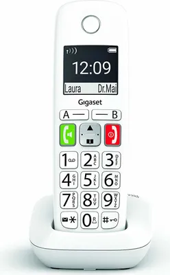Image de Téléphone fixe Gigaset E290 blanc