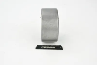 Produktbild von Febest Mab-104