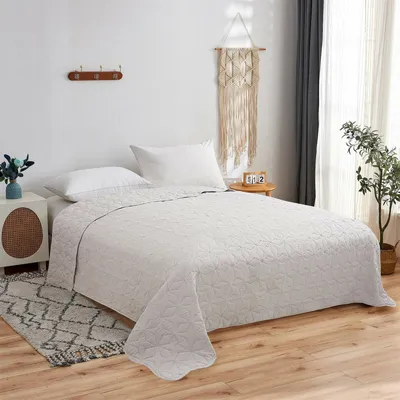 Produktbild von Tagesdecke (Silber) 220x240 cm mit wattierter Zwischenlage, Bettüberwurf - Überwurfdecke, Sommerdecke gesteppt - Steppdecke, Wendedecke