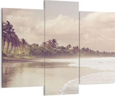 Produktbild von Bild auf Leinwand - Leinwandbild - 3 Teile - Palmen Strand Wasser - 130x100cm - Wand Bild - Wanddeko - Wandbilder - Leinwanddruck - Bilder - Wanddekoration - Leinwand bilder - CB130x100-4917