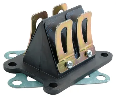 Produktbild von Membranblock Polini Evolution für Aprilia SX 50 Derbi-Motor, Aprilia RX 50