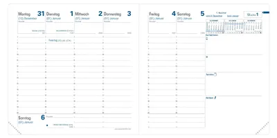 Produktbild von Quo Vadis "Executif" Kalender-Einlage 2015 - Weißschnitt