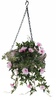 Produktbild von Hangekorb - D30 cm - Rattan geflochten - Hangepflanze - an Kette - Hangekorb