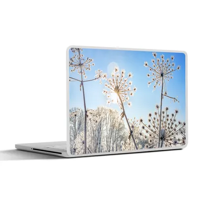 Produktbild von MuchoWow® Laptop Aufkleber Sticker Cover Pflanzen - Schnee - Stilleben 30x22 cm - Laptop-Sticker