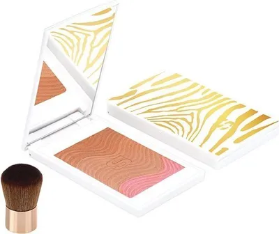A makeup compact with a brush, set against a white background.