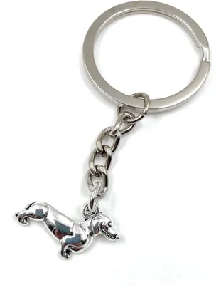 Immagine prodotto di Onwomania Cane bassotto lungo in piedi portachiavi in metallo portafortuna in scatola regalo in alluminio, ideale come regalo
