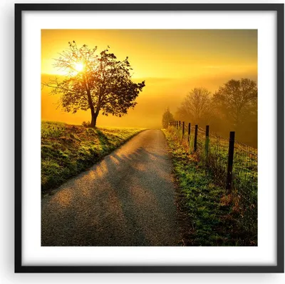 Produktbild von Gerahmtes Poster - Schwarzer Rahmen - Feld Straße Baum - 50x50 cm - Wand Bild - Wanddeko - Wandbilder - Kunstposter - Wandposter - Bilderrahmen - Bilder - Kunstdruck - Wandbild - P2BAC50x50-3851