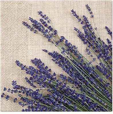 Produktbild von 20 Servietten Lavender Sheaf - Lavendel auf beige 33x33cm