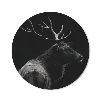 Produktbild von MuchoWow® Mauspad Mousepad Hirsch - Schwarz - Porträt - Geweih - Tiere 20x20 cm - Mousepads - Maus Mat - Pad - Mausunterlage - Schreibtischmatte