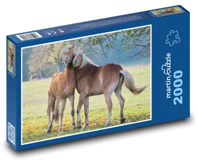 Zdjęcie produktu dla Puzzle 2000 Dwa konie na łące - martinpuzzle