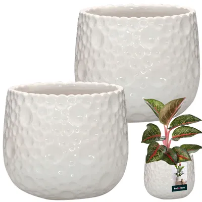 Two white ceramic plant pots with a textured, bubble-like pattern are shown against a white background. A small potted plant with green and red leaves is placed in the foreground, to the right of the pots.