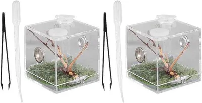 Image de Kit de terrarium pour éleveurs d'araignées, 2 pièces, idéal pour les amateurs