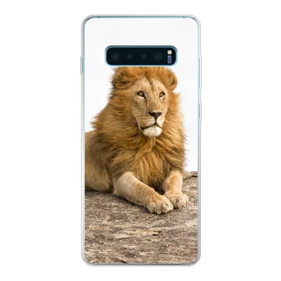 Produktbild von MuchoWow® Handyhülle Schutzhülle Hülle für Samsung Galaxy S10 Plus Löwe - Mähne - Tier Silikon Softcase Handy Hülle - Schutzhülle