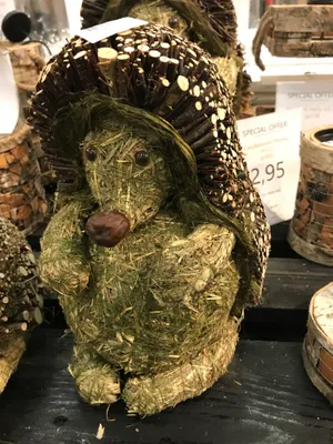 Produktbild von Deko Natur Igel 28 cm Mecki  Deco figure, nature hedgehog, Déco figure, Deco figura,riccio