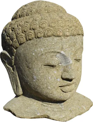 Produktbild von Buddha Figur Büste Barasat 30 x 35 x 80 cm