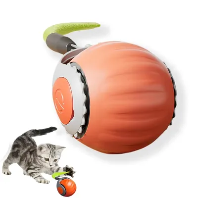 Produktbild von Katzenspielzeuge, Selbstbewegender Katzenball – Lustiges Haustier-Spielzeug, Sport & Unterhaltung, Zwei Modi, USB Ladebar