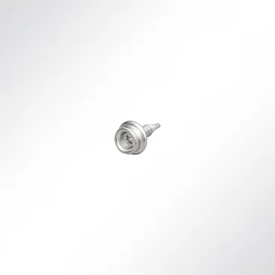 Produktbild von Lysel® Zapfen Messing vernickelt mit 16mm Edelstahlschraube #8 selbstschneidend (100 Stück)
