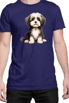 Produktbild von Herren T-Shirt Dogs Breeds Collie Dog Breed 005, Man S / Dunkelblau