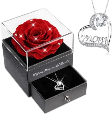 Produktbild von Sunia Ewige Rose Geschenkset für Mama 925 Silber Mom Halskette Rot