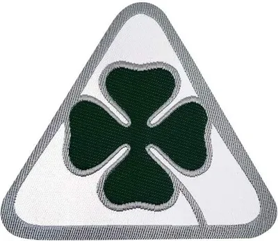 Immagine prodotto di Targhetta adesiva ufficiale Alfa Romeo Quadrifoglio Verde, 50 mm