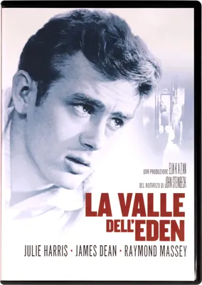 Obrázek produktu pro Za rájem (pouze v původním znění) [DVD]