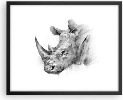 Produktbild von Gerahmtes Poster - Schwarzer Rahmen - Nashorn Porträt Grafik - 50x40 cm - Wand Bild - Wanddeko - Wandbilder - Kunstposter - Wandposter - Bilderrahmen - Bilder - Kunstdruck - P2BAA50x40-4378