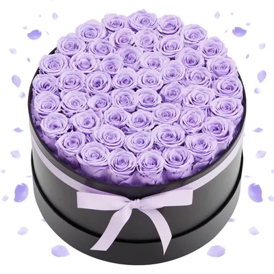 Produktbild von VEVOR 50x Ewige Rosen in runder Box, konservierter Blumenstrauß, Blumen Geschenkbox für ihre Frau, Mütter, Liebespartner, zur Hochzeit, zum Muttertag, Valentinstag, Weihnachten, Lavendelviolett