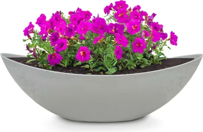 Image de Grande jardinière ovale Jardiniere 55 cm en aspect pierre gris clair