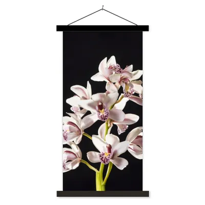 Produktbild von MuchoWow® Textilposter Eine weiße Orchidee vor schwarzem Hintergrund 60x120 cm mit schwarzem Rahmen - Magnete