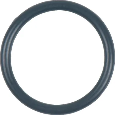 Produktbild von KS TOOLS O-Ring - 515.5505-R011P