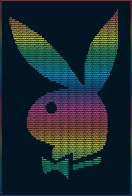 Produktbild von Playboy Poster mit Bunny Logo und Regenbogen-Design, ca. 61x91,5 cm