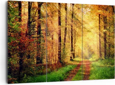 Produktbild von Bild auf Leinwand - Leinwandbild - Wald Baum Natur - 165x110cm - Wand Bild - Wanddeko - Wandbilder - Leinwanddruck - Bilder - Kunstdruck - Wanddekoration - Leinwand bilder - Wandkunst - CE165x110-3718