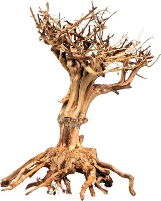 Produktbild von Aquariumdekoration Mammut Bonsai M 20 x 25 cm braun