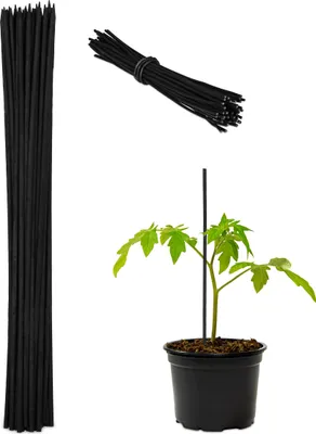 Produktbild von Relaxdays Pflanzstäbe, 50er Set, HxD 30 x 0,5 cm, Rankhilfe für Jungpflanzen, mit Bindedraht, Bambusstäbe, schwarz