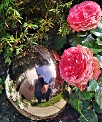 Produktbild von Dekorationskugel 15 cm Edelstahl golden rose poliert