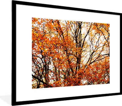 Produktbild von MuchoWow® Gerahmtes Poster Wald - Herbst - Jahreszeiten 80x60 cm - Poster mit Schwarzem Bilderrahmen Wandposter Rahmen Foto Bilder - Schlafzimmer-Dekorationen - Fotoposter